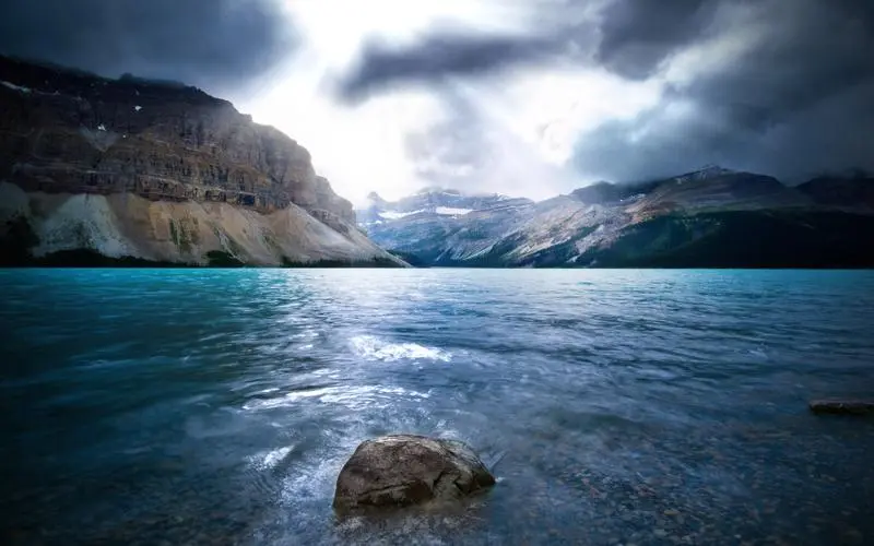 电子新型